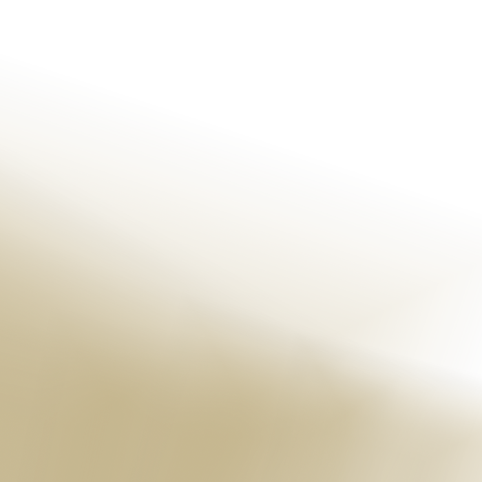 2x2 bottom text bg