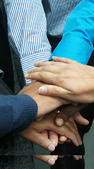 7 tata kelola